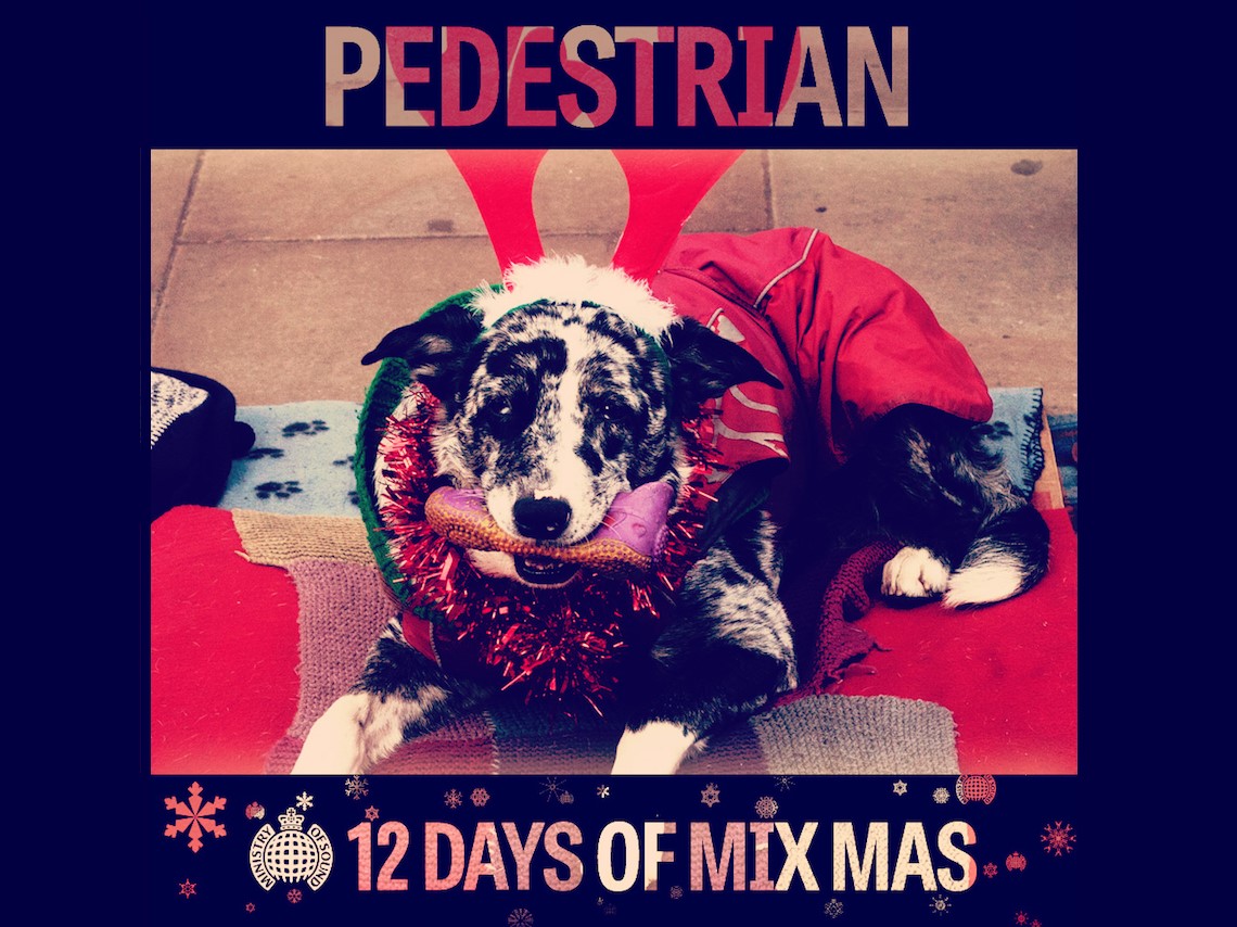 Artwork for Pedestrian 12 Days of Mix Mas mix