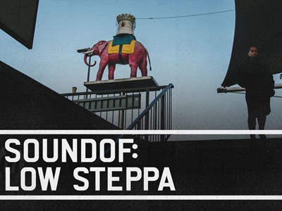 artwork for Low Steppa SoundOf